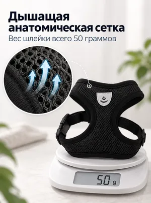 Слайд генератора: дышащая анатомическая сетка