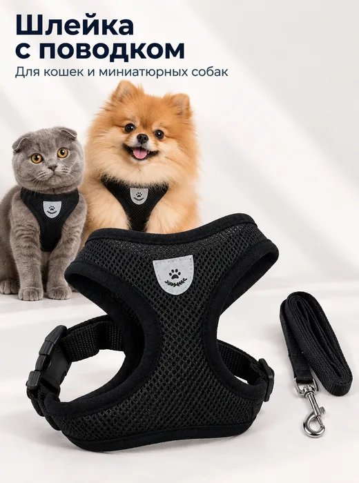 Готовый слайд: шлейка с поводком для кошек и миниатюрных собак